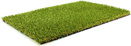 grass