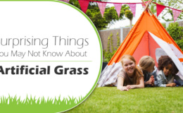 Surprising Things You May Not Know About Artificial Grass