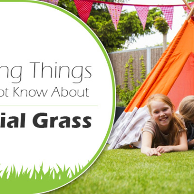 Surprising Things You May Not Know About Artificial Grass
